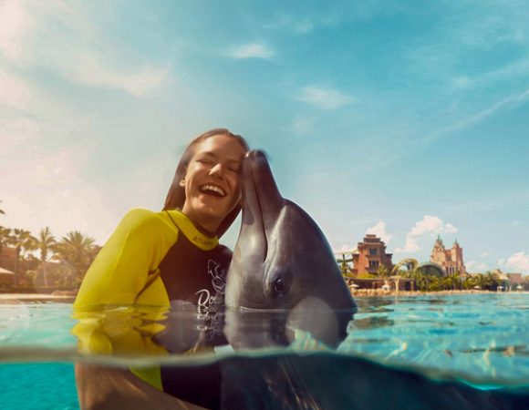 Swim with Dolphin in Dubai